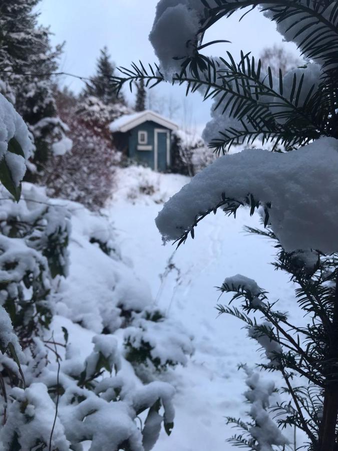 Schoenwald Waldchalet Am Musenberg Stryck Exterior foto